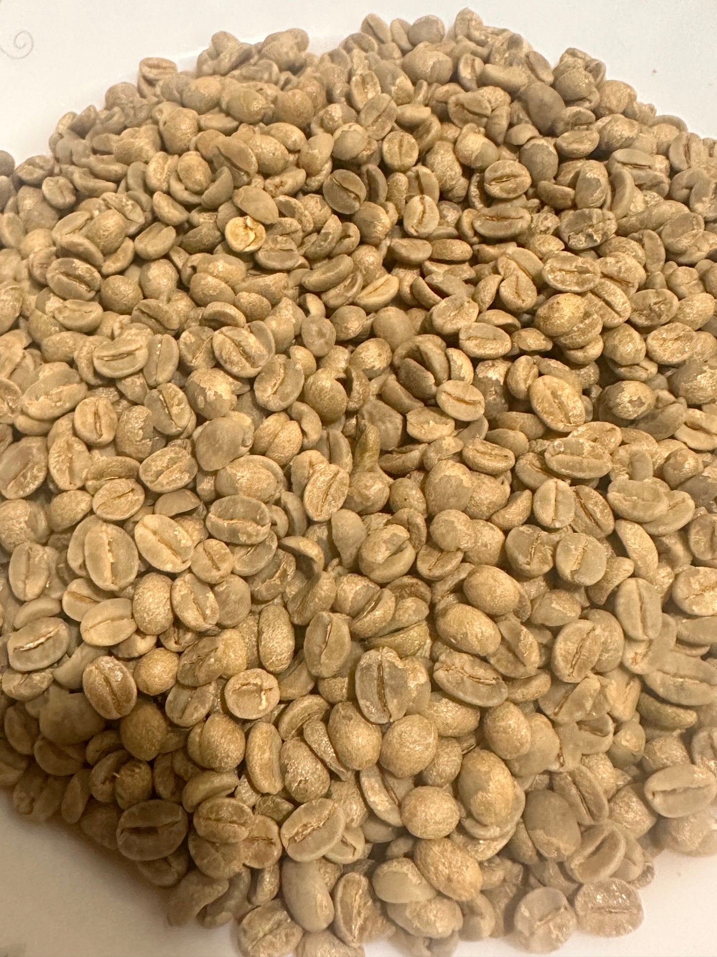 Specialty Yemeni Coffee Beans Valley