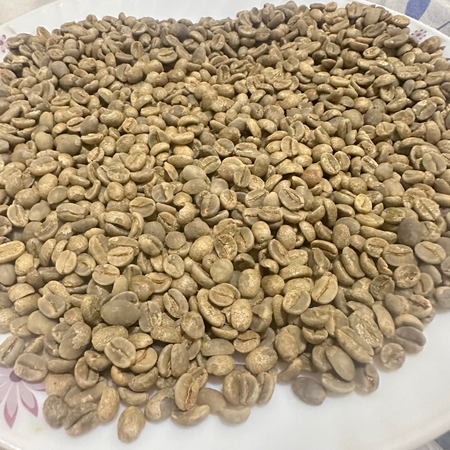 Specialty Yemeni  Coffee Beans Mountain