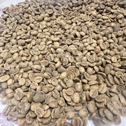 Premium Yemeni Coffee Beans Mountain