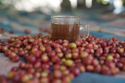 Yemeni Traditional Blend Bithani قهوه يمنيه بيضانيه